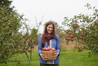 These 16 Apple Picking Outfit Ideas Are Stylish to the Core